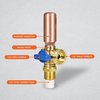 Everflow Replacement Valve W/ Hammer Arrestor 1/2" CPVC/MIP Inlet x 3/4" MHT Outlet, Brass, For Cold Water 541CH
